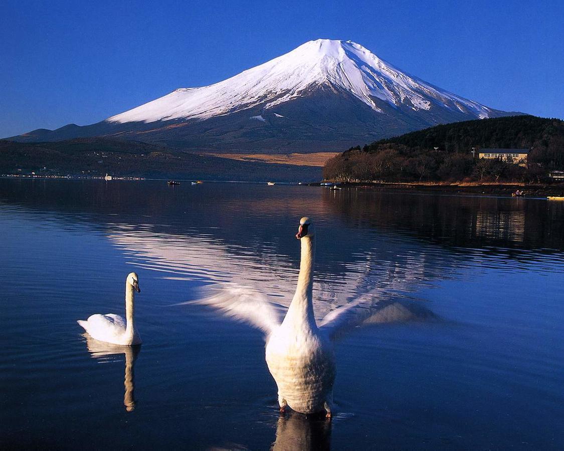 Resort Inn Golf Gotemba (Adults Only) Екстер'єр фото